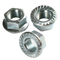 Porcas Hex Titanium da flange Din6923/porcas Hex da solda da flange