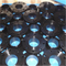  Flange de placa de ASTM A350 GR LF2 FF RF, RUÍDO 2576, DN250, PN10